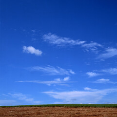 Obraz premium landscape with sky