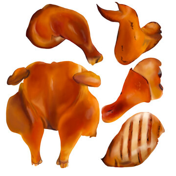 Set of roasted chicken hand draw and paint in png file, included whole chicken, chicken wings, legs, chicken breast, drumsticks for decoration and advertising 