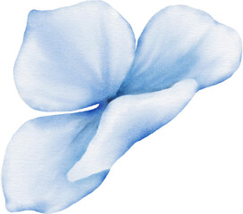 Flower Watercolor Element