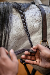 braiding a horses mane © Maxine
