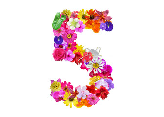 The shape of the number 5 is made of various kinds of flowers petals isolated on transparent...
