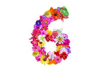 The shape of the number 6 is made of various kinds of flowers petals isolated on transparent background. suitable for birthday, anniversary and memorial day templates