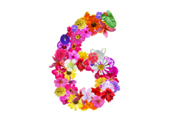 The shape of the number 6 is made of various kinds of flowers petals isolated on transparent background. suitable for birthday, anniversary and memorial day templates