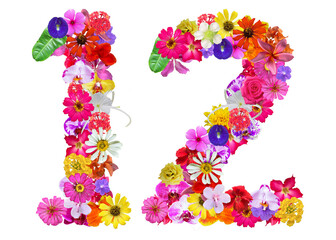 The shape of the number 12 is made of various kinds of flowers petals isolated on transparent...