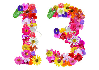 The shape of the number 13 is made of various kinds of flowers petals isolated on transparent...