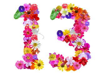 The shape of the number 13 is made of various kinds of flowers petals isolated on transparent background. suitable for birthday, anniversary and memorial day templates