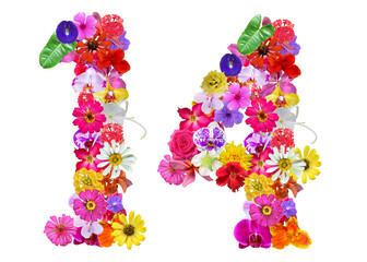 The shape of the number 14 is made of various kinds of flowers petals isolated on transparent...