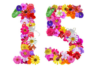 The shape of the number 15 is made of various kinds of flowers petals isolated on transparent...
