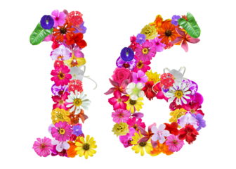 The shape of the number 16 is made of various kinds of flowers petals isolated on transparent background. suitable for birthday, anniversary and memorial day templates