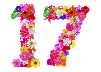 The shape of the number 17 is made of various kinds of flowers petals isolated on transparent background. suitable for birthday, anniversary and memorial day templates