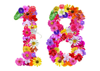 The shape of the number 18 is made of various kinds of flowers petals isolated on transparent background. suitable for birthday, anniversary and memorial day templates