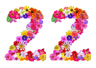 The shape of the number 22 is made of various kinds of flowers petals isolated on transparent background. suitable for birthday, anniversary and memorial day templates