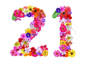 The shape of the number 21 is made of various kinds of flowers petals isolated on transparent background. suitable for birthday, anniversary and memorial day templates
