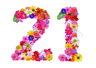 The shape of the number 21 is made of various kinds of flowers petals isolated on transparent background. suitable for birthday, anniversary and memorial day templates