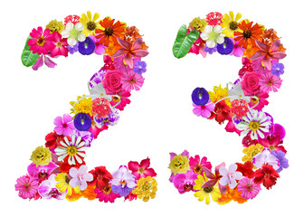 The shape of the number 23 is made of various kinds of flowers petals isolated on transparent background. suitable for birthday, anniversary and memorial day templates