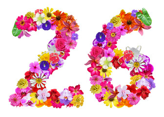 The shape of the number 26 is made of various kinds of flowers petals isolated on transparent background. suitable for birthday, anniversary and memorial day templates