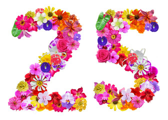 The shape of the number 25 is made of various kinds of flowers petals isolated on transparent background. suitable for birthday, anniversary and memorial day templates