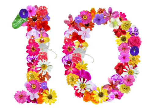 The shape of the number 10 is made of various kinds of flowers petals isolated on transparent background. suitable for birthday, anniversary and memorial day templates