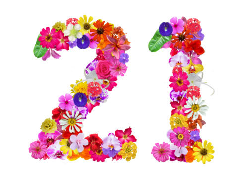 The shape of the number 21 is made of various kinds of flowers petals isolated on transparent background. suitable for birthday, anniversary and memorial day templates