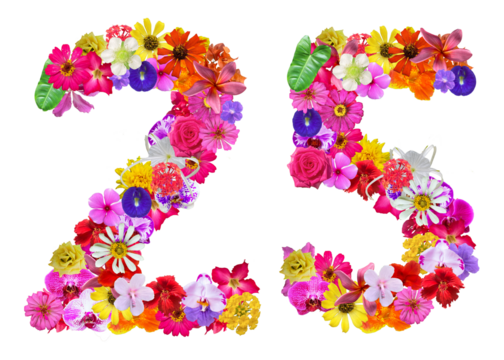 The shape of the number 25 is made of various kinds of flowers petals isolated on transparent background. suitable for birthday, anniversary and memorial day templates - Powered by Adobe