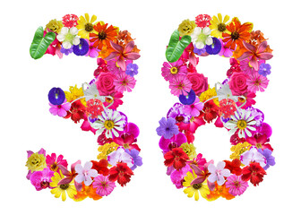 The shape of the number 38 is made of various kinds of flowers petals isolated on transparent background. suitable for birthday, anniversary and memorial day templates