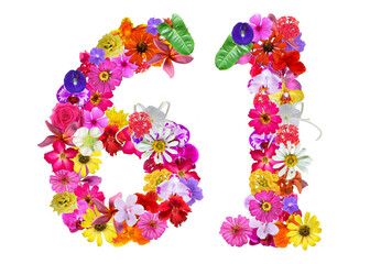 The shape of the number 61 is made of various kinds of flowers petals isolated on transparent background. suitable for birthday, anniversary and memorial day templates