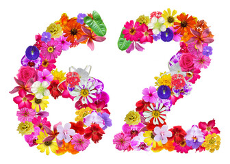 The shape of the number 62 is made of various kinds of flowers petals isolated on transparent background. suitable for birthday, anniversary and memorial day templates