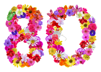The shape of the number 80 is made of various kinds of flowers petals isolated on transparent background. suitable for birthday, anniversary and memorial day templates, 