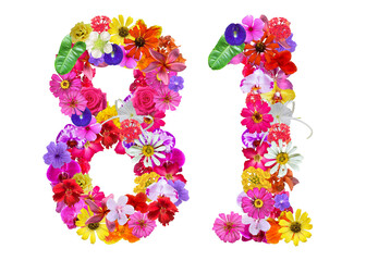 The shape of the number 81 is made of various kinds of flowers petals isolated on transparent background. suitable for birthday, anniversary and memorial day templates
