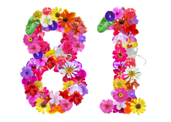 The shape of the number 81 is made of various kinds of flowers petals isolated on transparent background. suitable for birthday, anniversary and memorial day templates