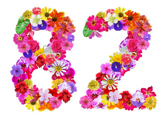 The shape of the number 82 is made of various kinds of flowers petals isolated on transparent background. suitable for birthday, anniversary and memorial day templates