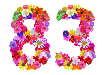 The shape of the number 83 is made of various kinds of flowers petals isolated on transparent background. suitable for birthday, anniversary and memorial day templates