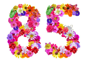 The shape of the number 85 is made of various kinds of flowers petals isolated on transparent background. suitable for birthday, anniversary and memorial day templates