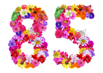 The shape of the number 85 is made of various kinds of flowers petals isolated on transparent background. suitable for birthday, anniversary and memorial day templates