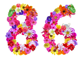 The shape of the number 86 is made of various kinds of flowers petals isolated on transparent background. suitable for birthday, anniversary and memorial day templates