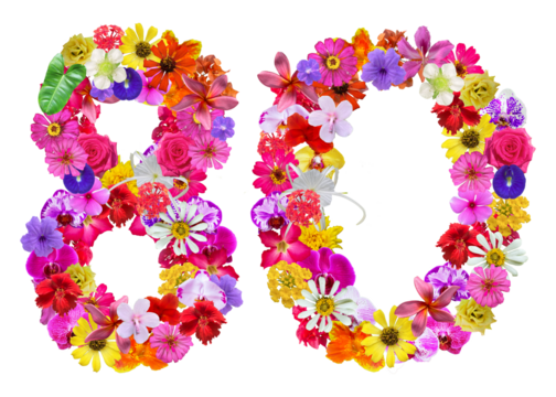 The shape of the number 80 is made of various kinds of flowers petals isolated on transparent background. suitable for birthday, anniversary and memorial day templates,  - Powered by Adobe