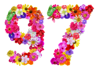 The shape of the number 97 is made of various kinds of flowers. suitable for birthday, anniversary and memorial day templates