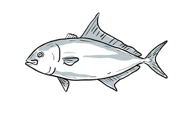Cartoon style drawing sketch illustration of a Almaco Jack or Seriola Rivoliana fish of the Gulf of Mexico on isolated white background.
