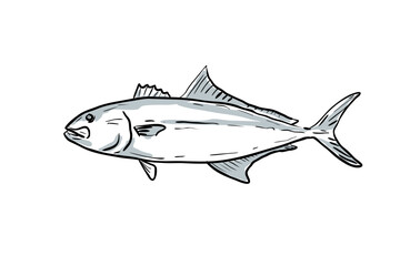Cartoon style drawing sketch illustration of a Greater Amberjack, Seriola dumerili, Amberjack, Medregal, Coronado fish of the Gulf of Mexico on isolated white background.
