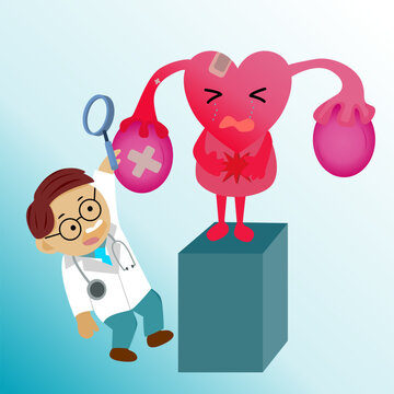 flat cartoon doctor and ovaries, health check the ovaries of the inner image of the lingering person concept.