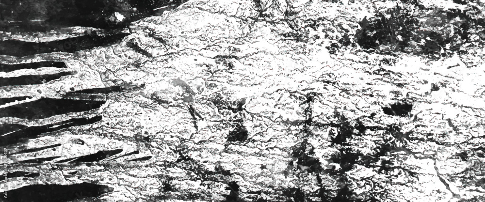 Poster grunge texture of black and white, abstract monochrome background pattern of cracks, sketch abstract