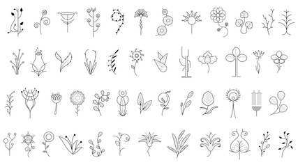 Fototapeta na wymiar Big Abstract Set Doodle Elements Hand Drawn Collection Botanic Herbal Flora Leaf Branch Vine Flower Plant Elements F Vector Desgin Style