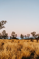 Full moon over a field