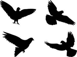 set of silhouettes of birds vector