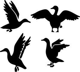 silhouettes of duck