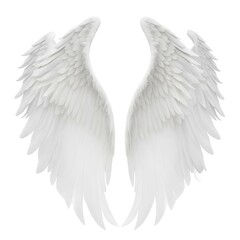 white wings isolated on white