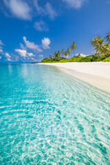 Beautiful tropical beach sea coast. White sand, palm trees, turquoise ocean and blue sky on sunny...