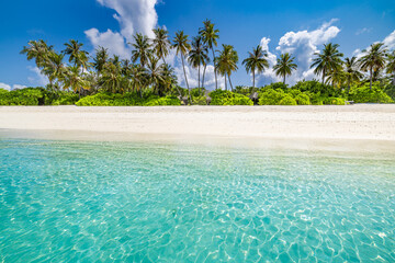 Beautiful tropical beach sea coast. White sand, palm trees, turquoise ocean and blue sky on sunny...