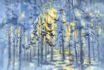 Pine tree forest in the mist watercolor background