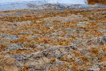 Waste of the chemical industry. Unreal fantastic landscape.